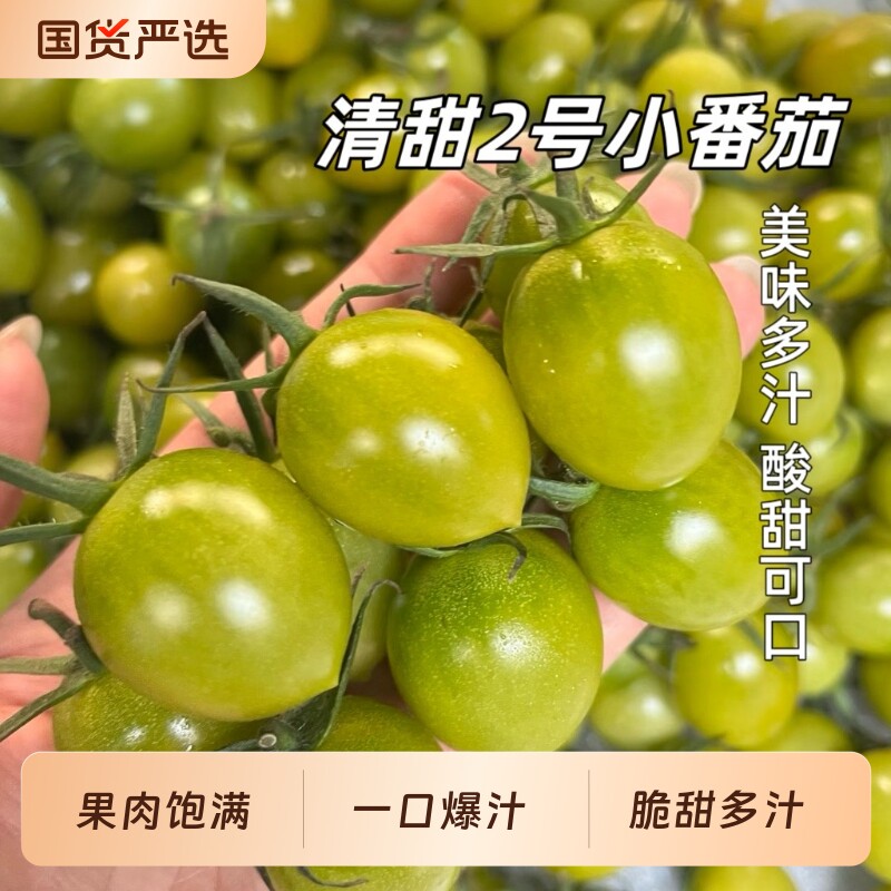 小番茄【胡鲜森】山东清甜2号圣女果青色绿色小柿子现摘整箱