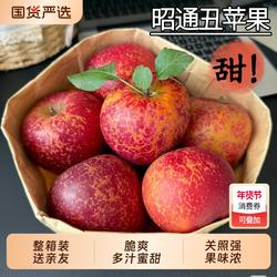 正宗云南昭通苹果冰糖心丑苹果新鲜红富士脆甜苹果水果包邮年货节