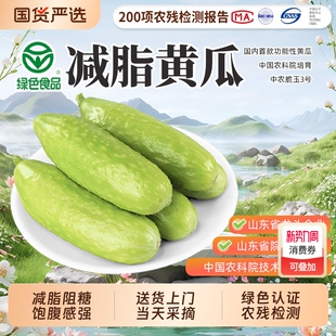 中农脆玉3号减脂黄瓜绿色认证新鲜生吃即食非转基因现发蔬菜齐鲁