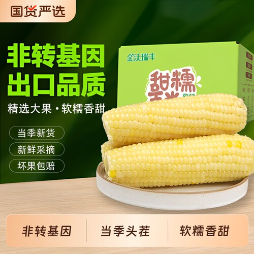 当季头茬非转基因甜糯玉米