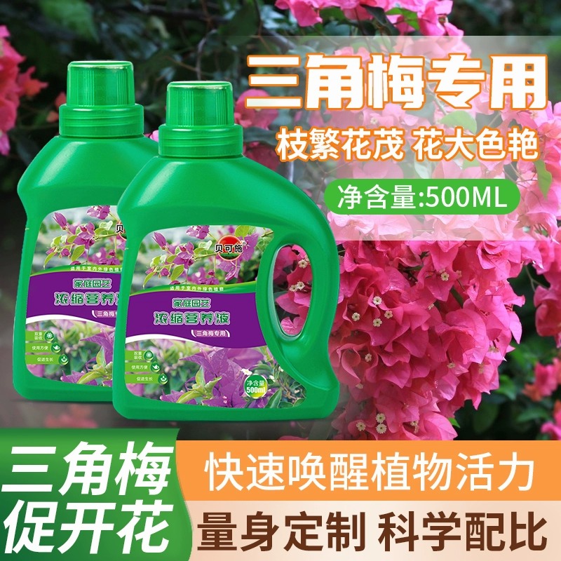 贝可施三角梅专用营养液液体肥