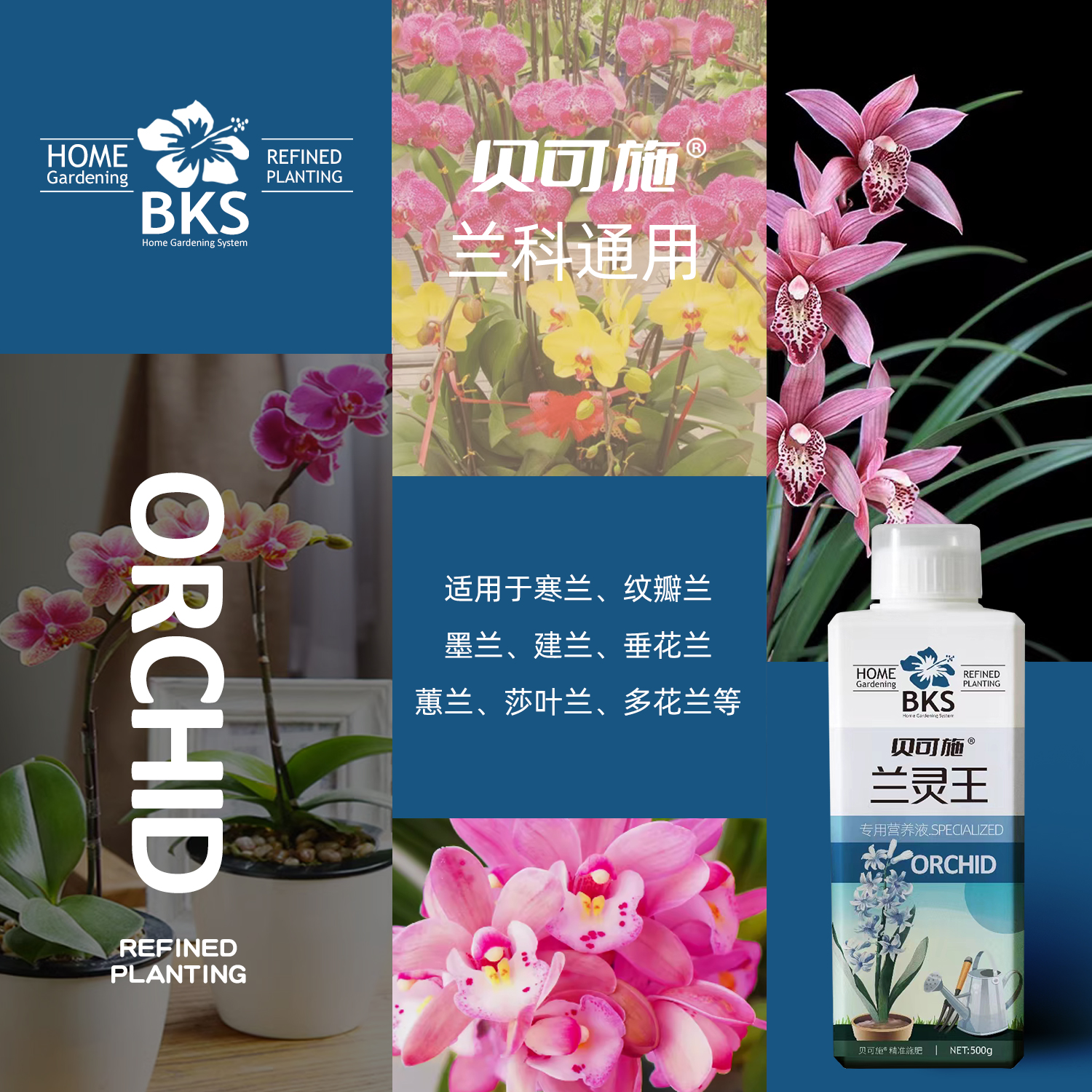 贝可施兰灵王兰花专用营养液