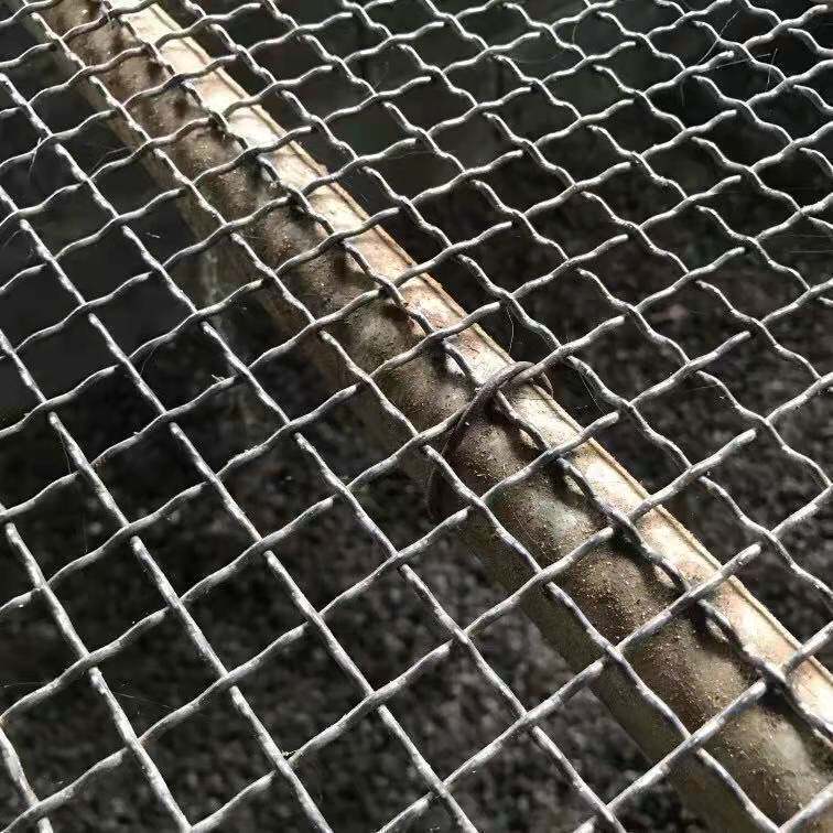 羊床钢丝网鸡鸭鹅漏粪铁网养羊养猪用的钢网铁丝网热镀锌编织筛网