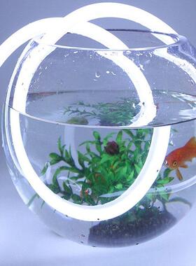 12V圆形360°发光LED灯带防水高亮室外霓虹灯智能操控光控式LED灯