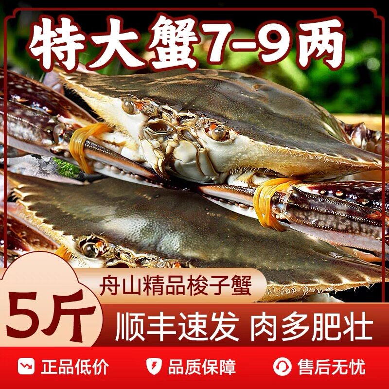 舟山鲜活梭子蟹新鲜海鲜水产特大蟹
