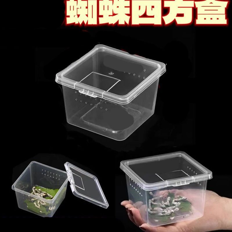 小方盒爬宠饲养盒蜘蛛守宫盒蜥蜴蝎子蜈蚣角蛙壁虎甲虫昆虫打包盒,宠物/宠物食品及用品,笼子,淘宝优惠券,粉丝福利购,淘宝优惠卷