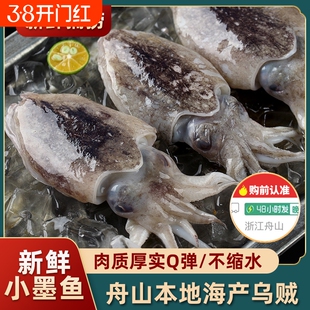 真正舟山小墨鱼新鲜墨鱼仔超大号冷冻生海鲜鲜活水产大乌贼目鱼