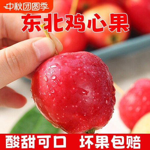 东北鸡心果甜脆产地直发锦绣海棠