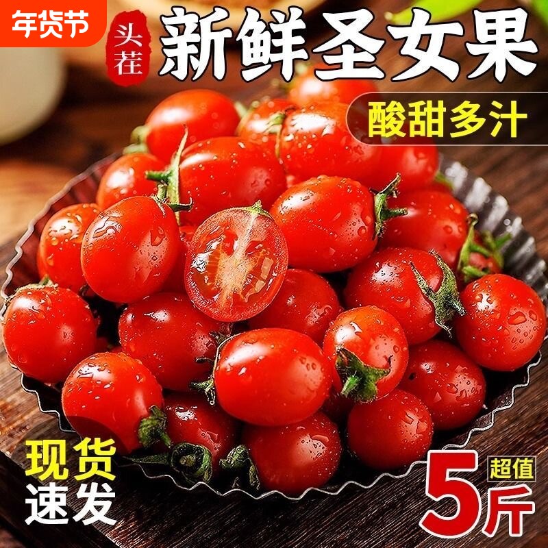 新鲜圣女果小番茄应当季水果现摘酸甜生吃西红柿番茄蔬菜包邮