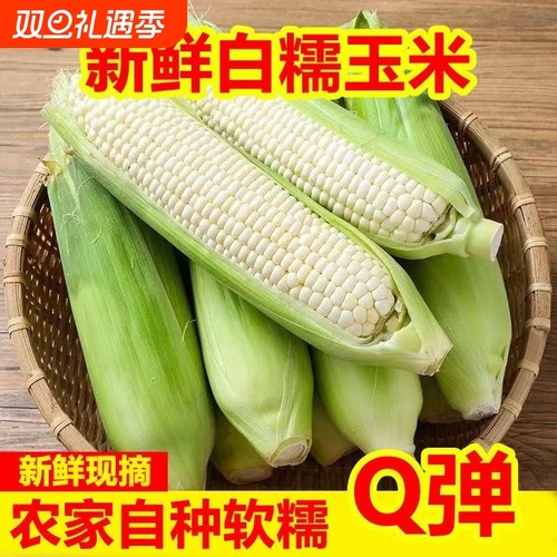 白糯牛奶玉米新鲜现摘现发