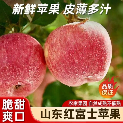 山东红富士苹果沂源苹果脆甜多汁