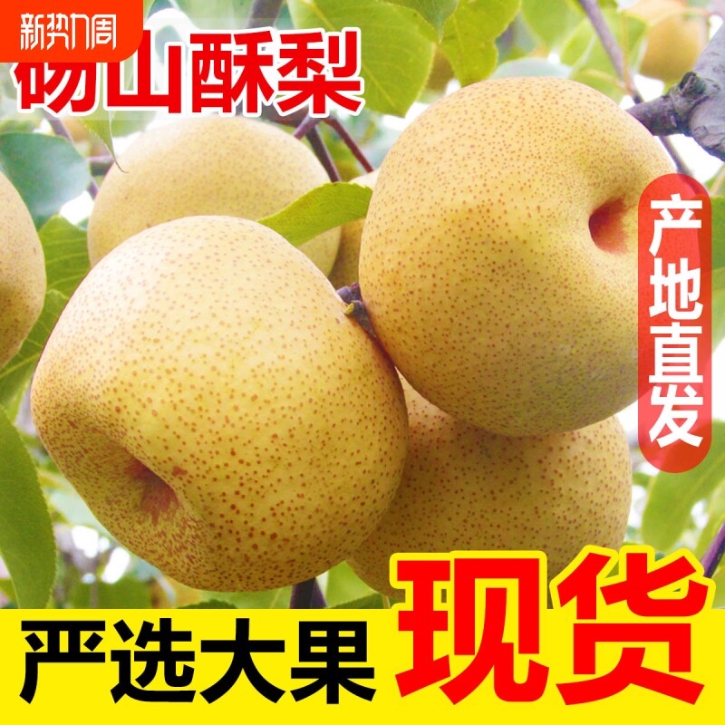 梨子正宗砀山梨酥梨当季水果新鲜现摘安徽皇翠冠整箱青梨香梨雪梨