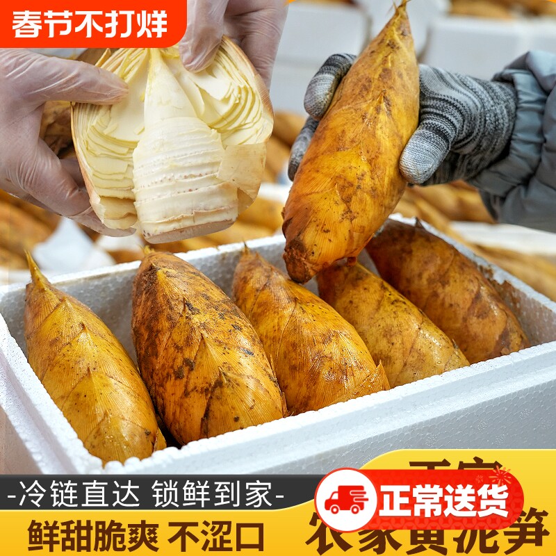 冬笋新鲜【顺丰到家】 浙江发货现挖两头尖黄泥农家精品野生竹笋