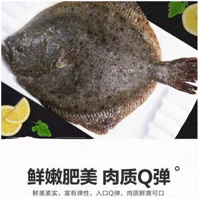 鲜活冷冻多宝鱼海鲜水产