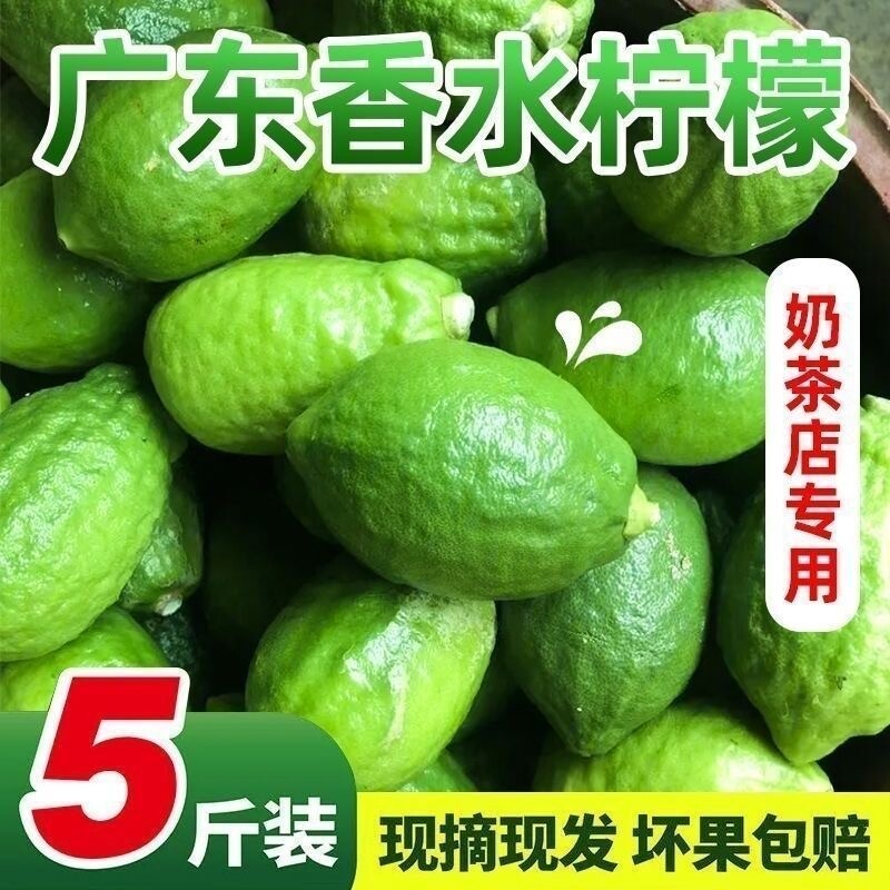 广东香水柠檬新鲜正宗青柠檬无籽一级果水果奶茶店专用香柠檬鲜果