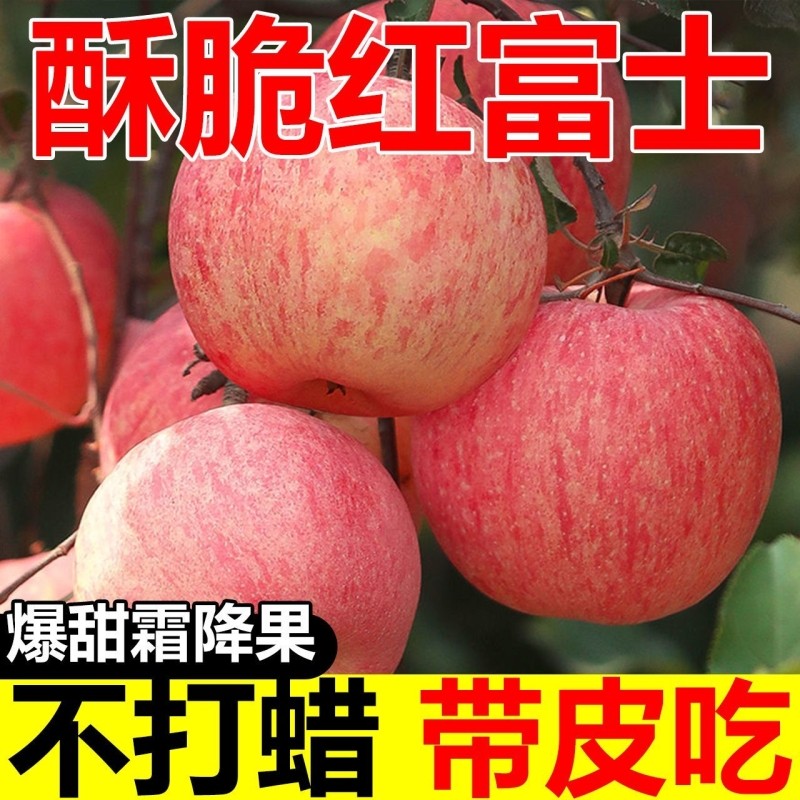 【冰糖心】红富士苹果水果新鲜应当季脆甜丑苹果整箱孕妇水果包邮