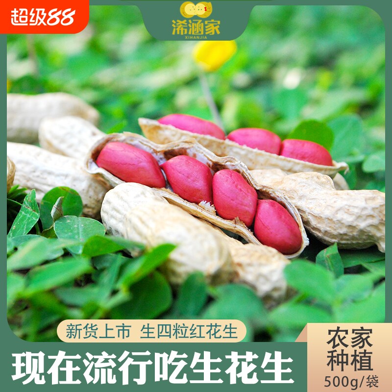 25年红皮花生米新货5斤四粒红新鲜晒干红衣小花生原味带壳生花生图片