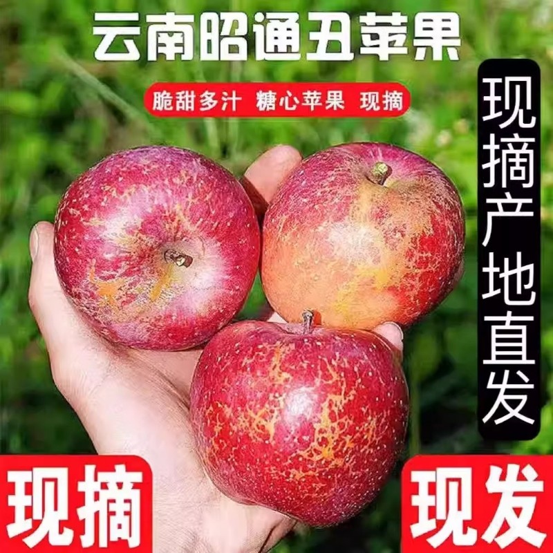 正宗云南昭通冰糖心丑苹果新鲜大凉山当季脆甜水果产地直发现摘