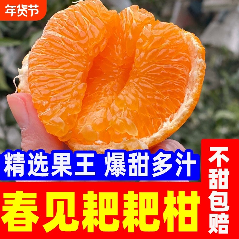 四川现摘现发春见耙耙柑产地直发新鲜当季孕妇水果整箱包邮批发,水产肉类/新鲜蔬果/熟食,桔子,淘宝优惠券,粉丝福利购,淘宝优惠卷