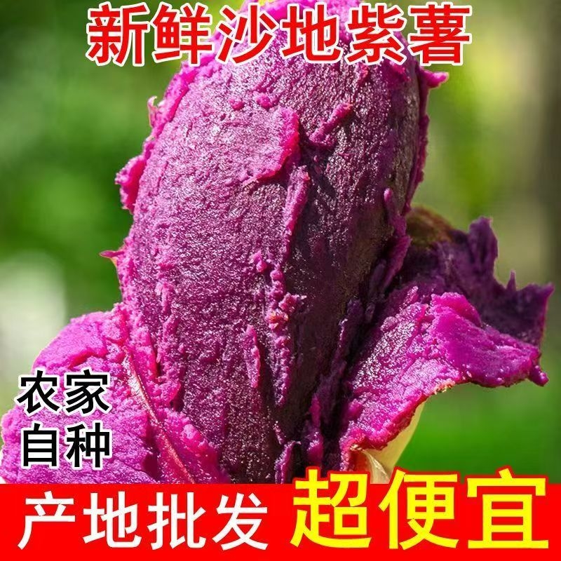 紫薯软糯新鲜现挖紫罗兰红薯粗粮宝宝辅食紫心蜜薯粉糯自种沙地