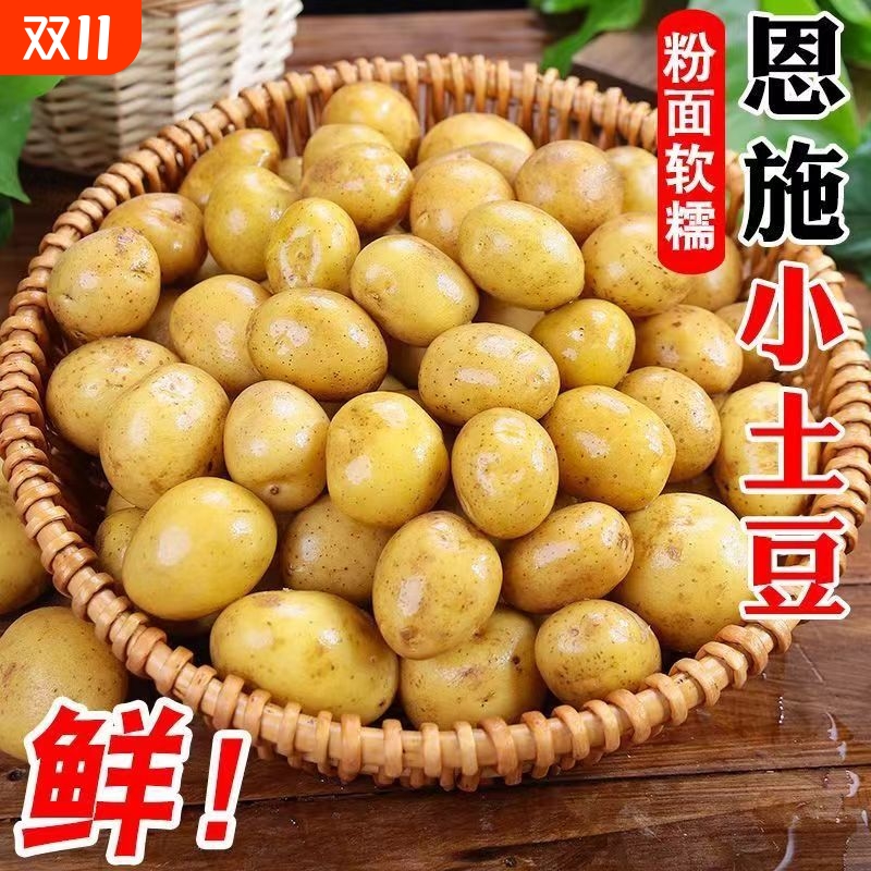恩施小土豆现挖新鲜农家黄心小个土豆生态马铃薯洋芋粉糯沙面整箱