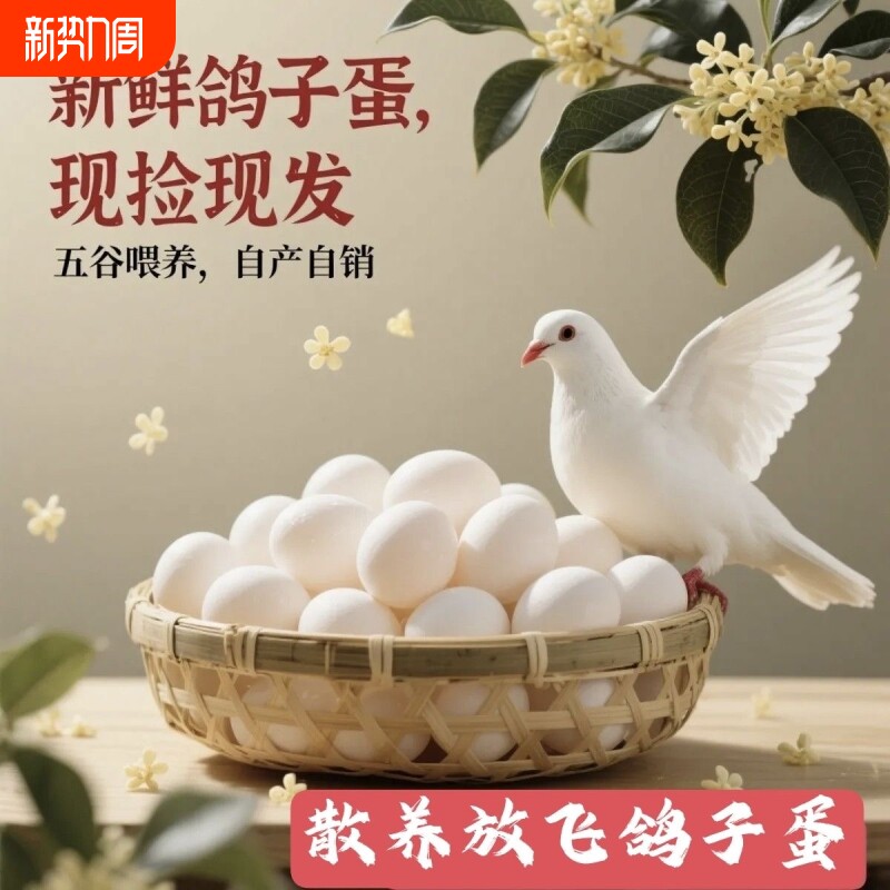 新鲜鸽子蛋30枚农家自养杂粮草鸽蛋50枚60枚辅食蛋营养健康包邮