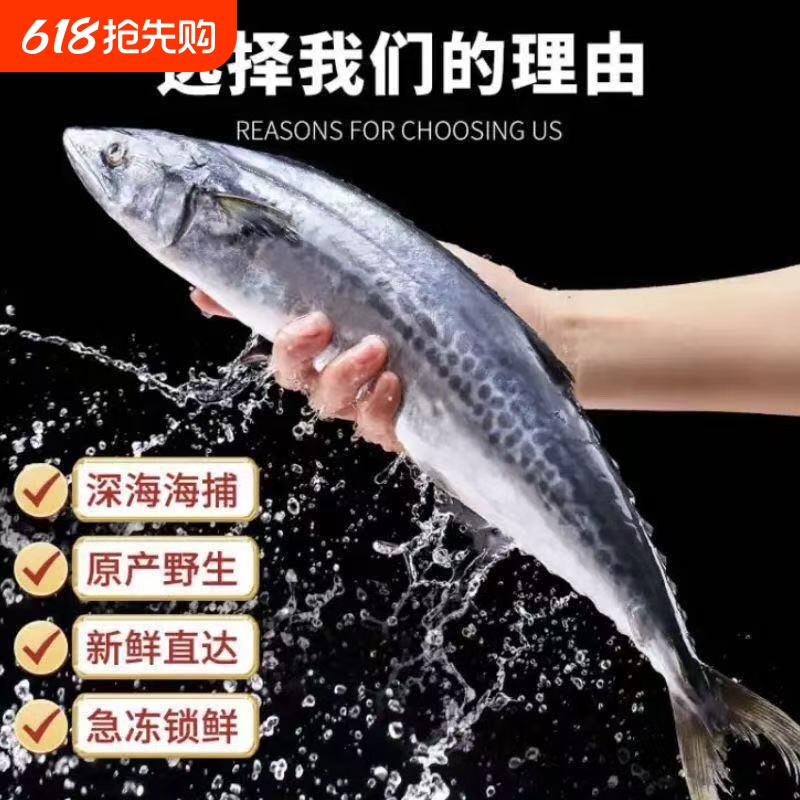 大鲅鱼新鲜活鲐鲅鱼马鲛鱼大整条冷冻青花鱼马友鱼海鲜批发冰鲜