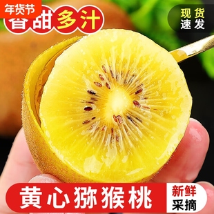 黄心猕猴桃黄金奇异果新鲜大果整箱包邮金果产地直发孕妇时令水果