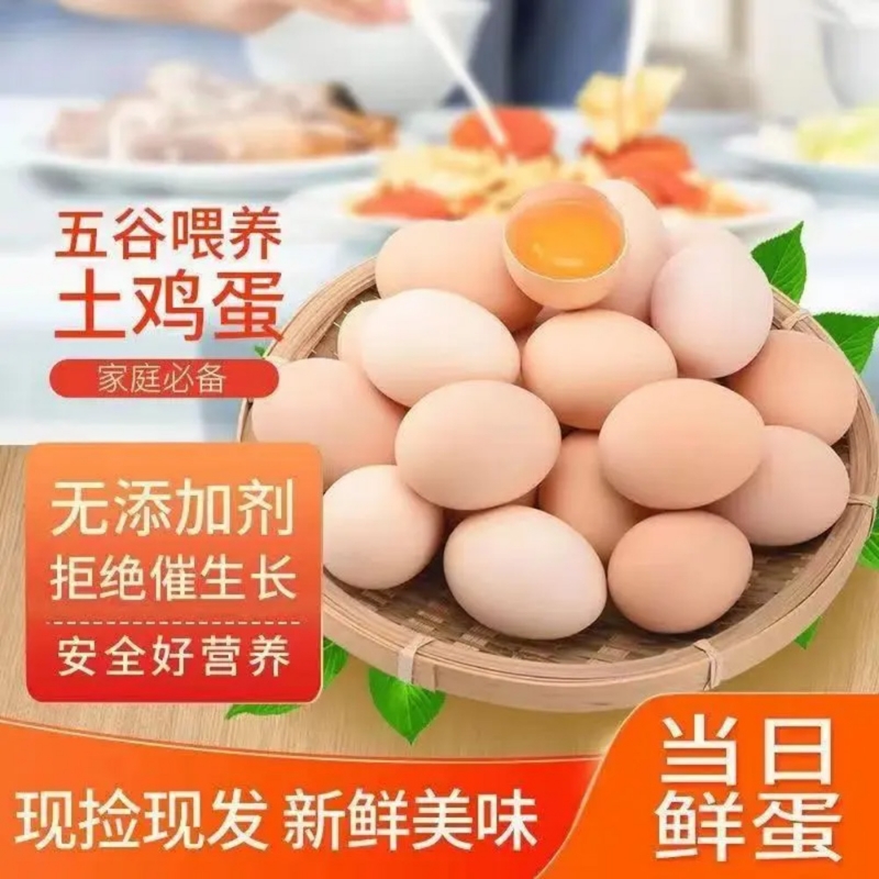 山林散养土鸡蛋50枚正宗散养农家笨鸡蛋柴鸡蛋新鲜包邮营养早餐蛋
