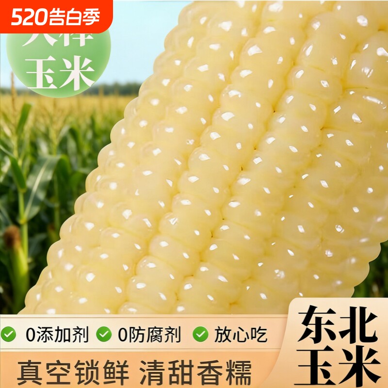东北白糯玉米早餐真空包装香甜白糯玉米粗粮美味粘糯鲜香当季新鲜