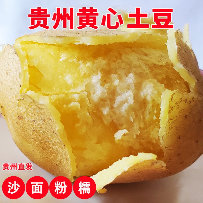 贵州农家自种新鲜土豆10斤带泥黄心洋芋粉面马铃薯现挖产地直发