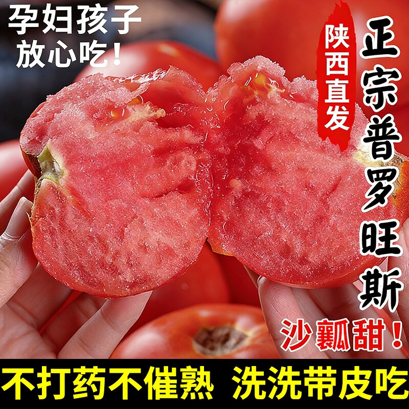 陕西泾阳普罗旺斯沙瓤西红柿新鲜自然熟当季孕妇水果生吃番茄蔬菜