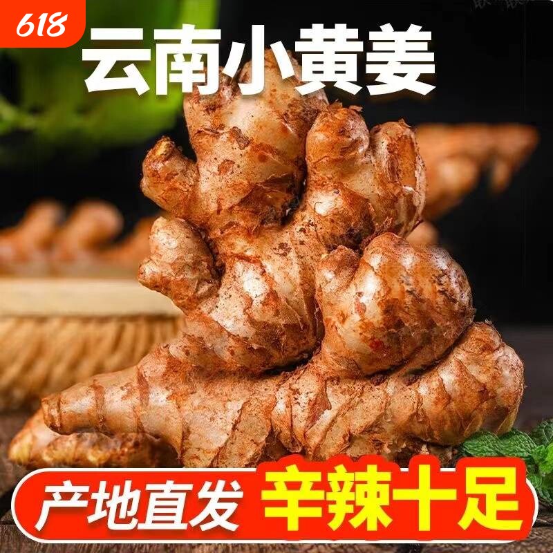 现挖云南小黄姜新姜老姜生姜新鲜黄姜土姜子姜嫩姜鲜姜嫩姜蔬菜
