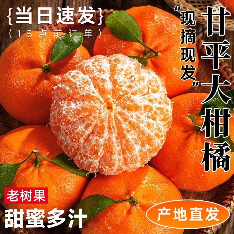 正宗四川甘平柑橘皇后当天现摘新鲜砂冰糖甜蜜桔大水果耙耙粑粑,水产肉类/新鲜蔬果/熟食,桔子,淘宝优惠券,粉丝福利购,淘宝优惠卷