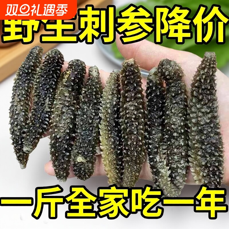 野生干货大连淡干纯淡海参非即食海参野生辽参非干货特价海生刺参