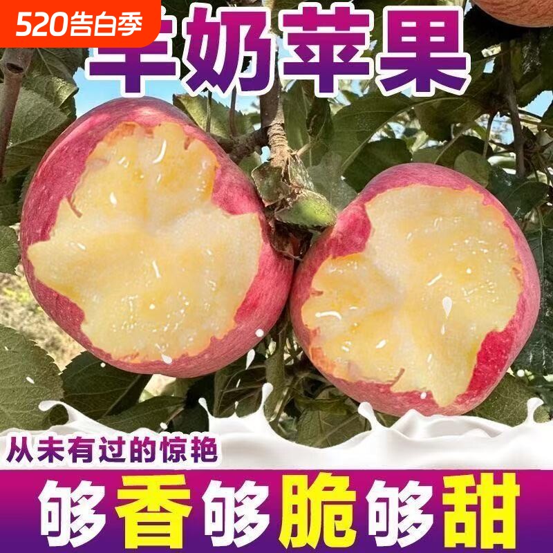 【包脆包甜】正宗山西万荣羊奶苹果新鲜红富士应季水果香甜批发