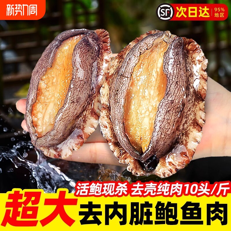 鲍鱼肉鲜活冷冻新鲜特大号去壳冰鲜速冻小鲍鱼肉海鲜火锅食材商用