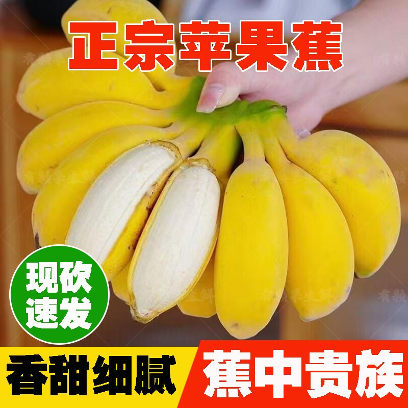 [好甜]正宗广西苹果蕉现摘新鲜应季水果软糯香甜粉香蕉自然熟包邮