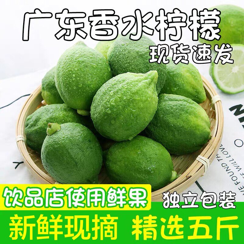 广东香水柠檬爆香辣浓香正宗无籽薄皮奶茶店果饮孕妇开胃水果泡水