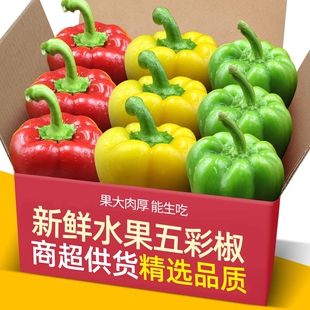 现摘生吃不辣甜椒五彩椒新鲜圆椒红椒黄椒绿椒七彩辣椒水果椒
