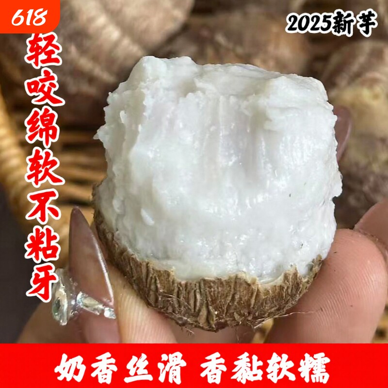 新货山东牛奶芋头蘸糖吃新鲜现挖软糯香滑小毛芋头5粉糯芋圆批发