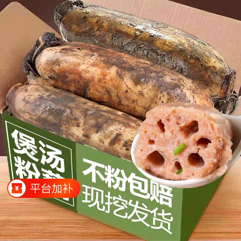 正宗湖北特产洪湖粉藕莲藕新鲜九孔藕煲汤藕香甜红藕面藕粉糯米藕