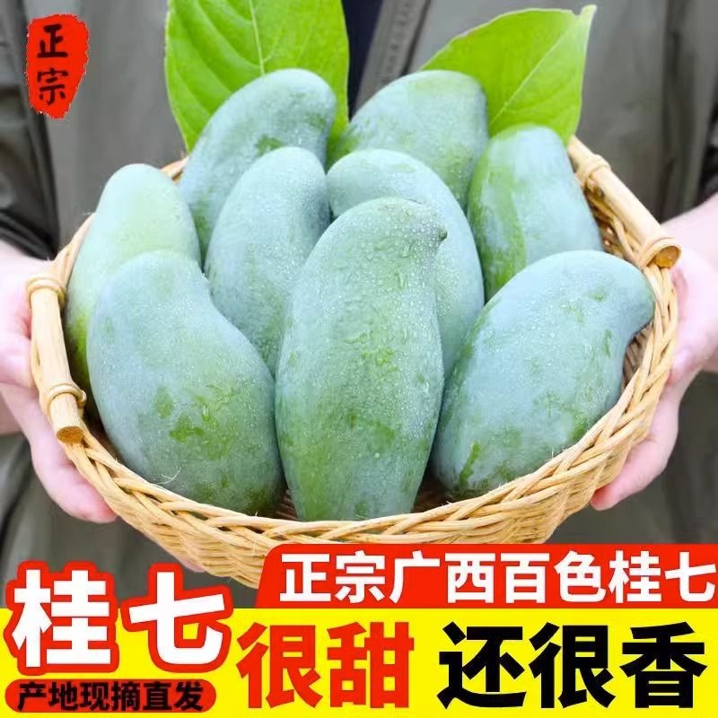 广西桂七芒大果9斤当季新鲜水果现摘整箱青皮桂七芒果