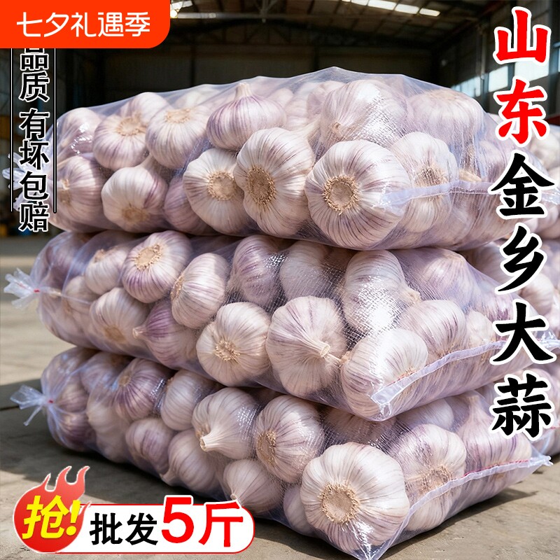 大蒜头2026金乡大蒜新干当季鲜蔬菜批发紫皮特大果干蒜农家自种