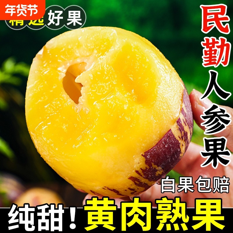 甘肃民勤沙漠人参果新鲜水果自然成熟人参果应季人叁果现摘现发,水产肉类/新鲜蔬果/熟食,人参果,淘宝优惠券,粉丝福利购,淘宝优惠卷