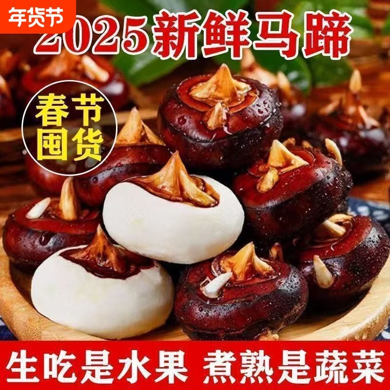 正宗大果马蹄农家新鲜特产现挖荸荠水果蔬菜当季特大脆甜地栗多汁,水产肉类/新鲜蔬果/熟食,荸荠/马蹄,淘宝优惠券,粉丝福利购,淘宝优惠卷