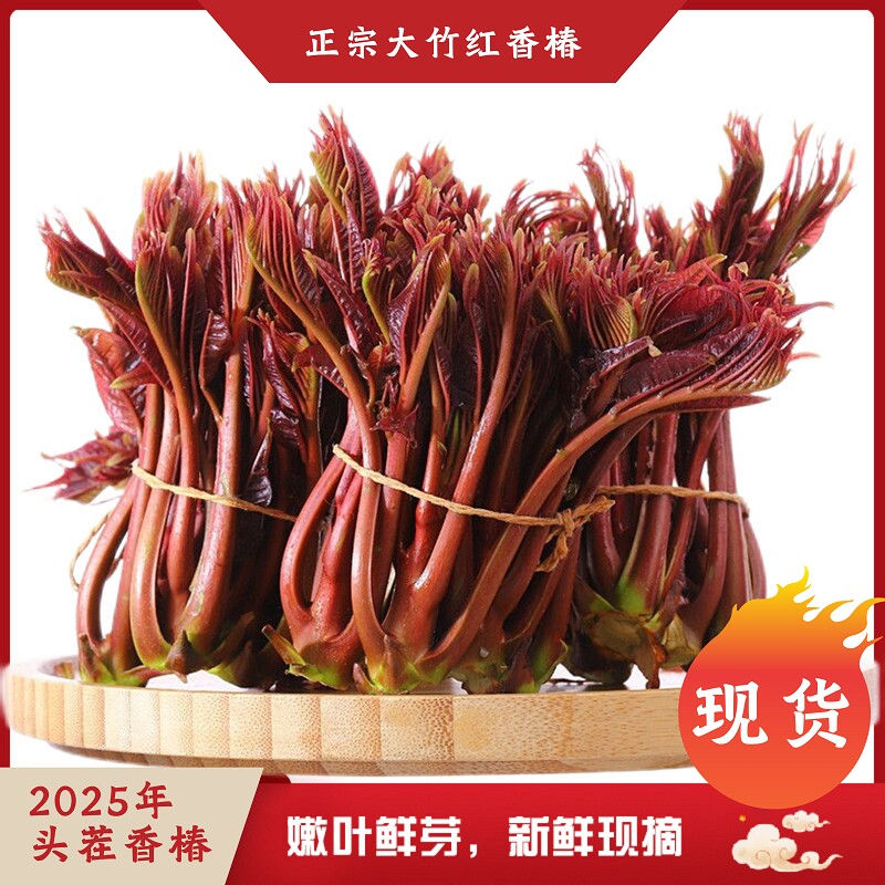 香椿芽新鲜红油现摘蔬菜露天嫩芽野生当季野菜产地山东四川省