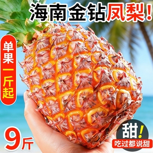 海南金钻凤梨新鲜水果树上熟芒果凤梨香水菠萝大果无眼整箱包邮