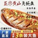 3条正宗徽州臭鳜鱼6两2斤真空包装 黄山特产安徽新鲜特色冷冻鱼肉