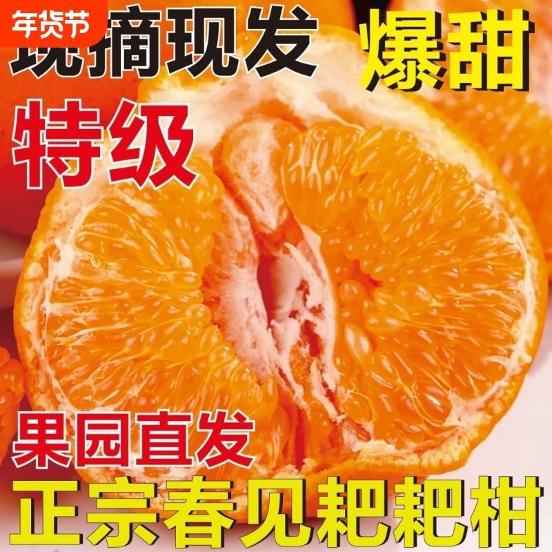现货四川春见耙耙柑粑粑柑新鲜水果当季孕妇非丑八怪现摘果园,水产肉类/新鲜蔬果/熟食,桔子,淘宝优惠券,粉丝福利购,淘宝优惠卷